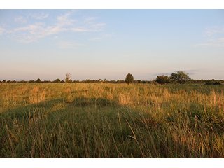Tract 1 - LAND AUCTION - 440+/- Acres offered in 15 Tracts in Tulsa County